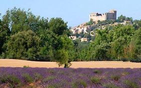 Le Jardin