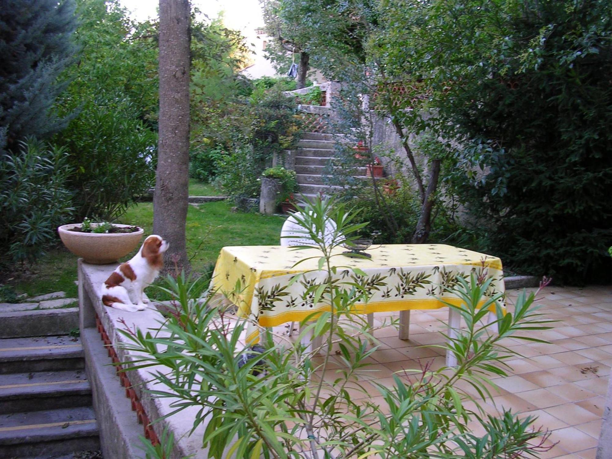 Appartement Le Jardin à Gréoux-les-Bains Extérieur photo